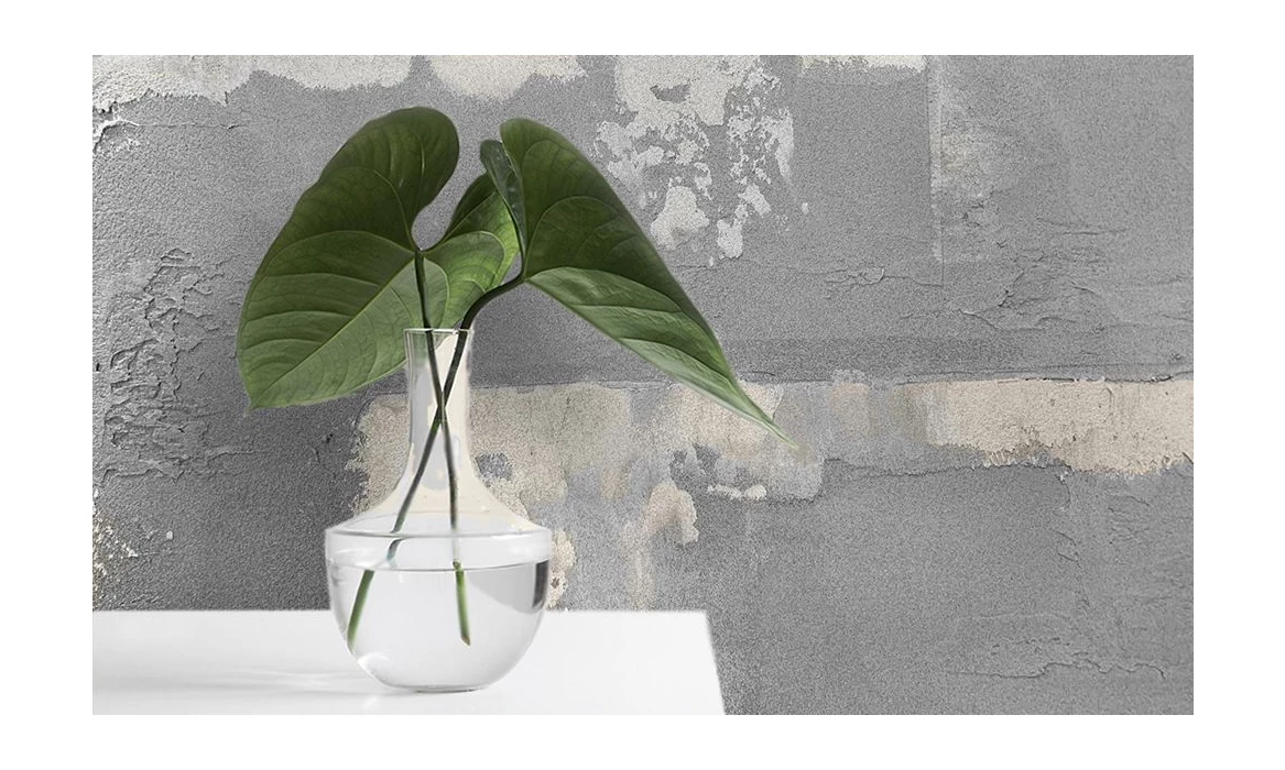 Декоративная штукатурка Decorazza Art Beton (Декораза Арт Бетон) серая AB 001 5 кг